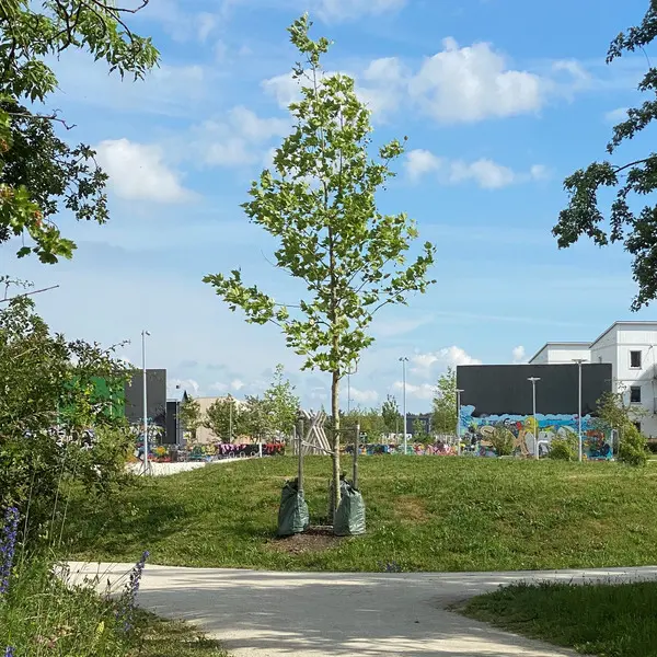 Pristagare 2022, Honnörsparken. 