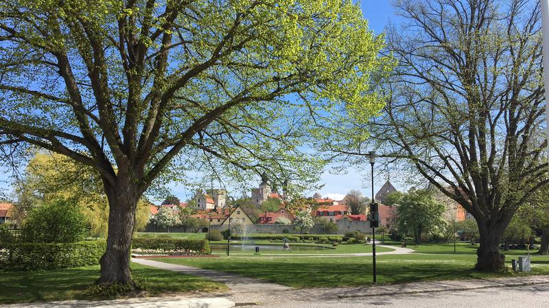 Almedalen i Visby