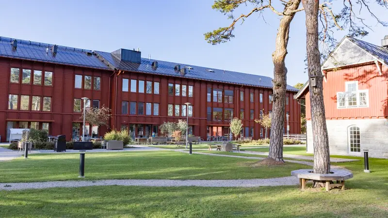 Parkmiljö intill stort rött hus