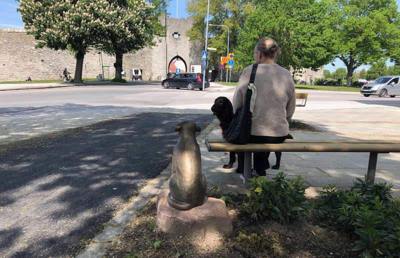 En kvinna sitter på en bänk och tittar mot ringmuren. Bredvid har hon sin svarta hund och en skulptur i brons, som föreställer en hund