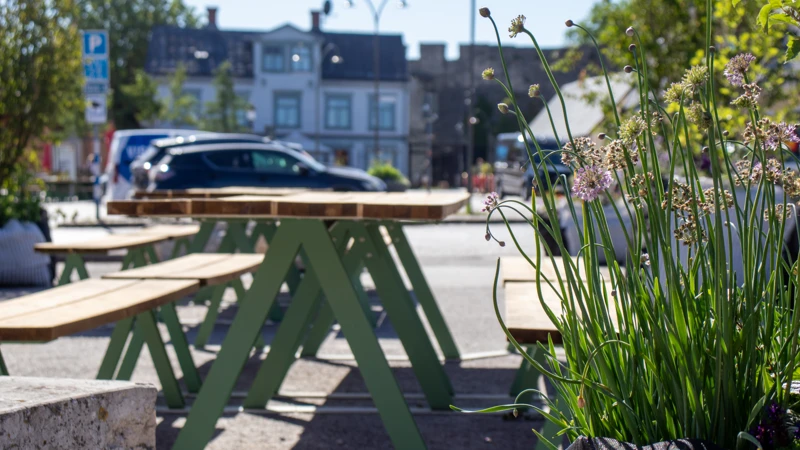 Möbleringen består av bänkbord, växter, stenblock och björkstubbar på Södertorg.