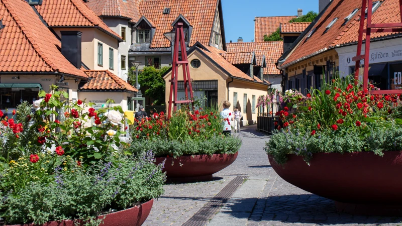 De stora återanvända, rödmålade blomsterurnorna finns även på Stora torget för att bidra med färg och blomsterprakt.