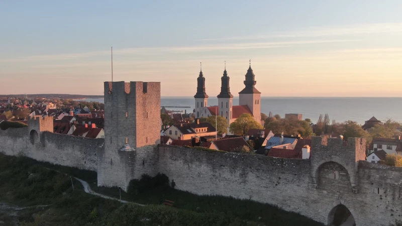 En utsikt över Visby med ringmuren i förgrunden