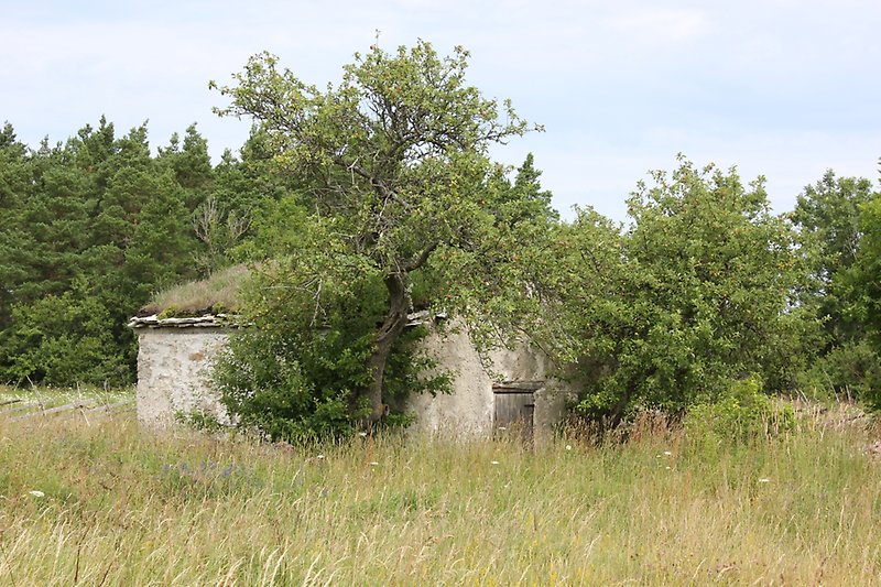 En väldigt gammal stenbyggnad ute på landet.