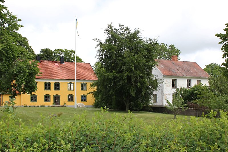 Gult hus med svensk flagga upphängd under sommartid