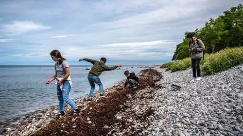 Ungdomar på stenstrand