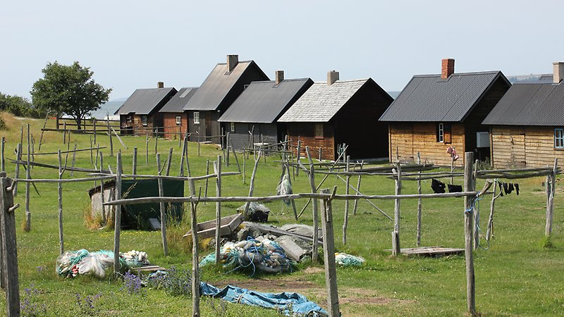 Djupvik fiskeläge