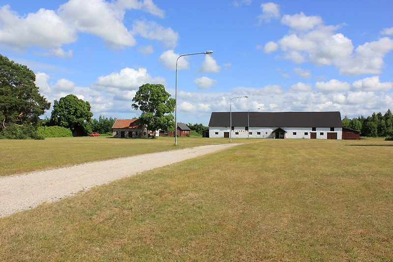 Utanför den svartvita ladan ser man en uttorkad gräsmatta.