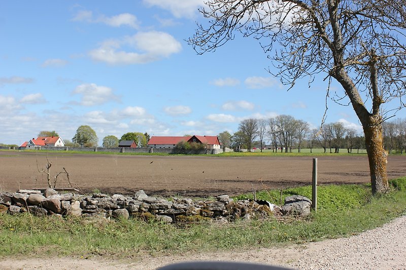I närheten av en grusväg ser man gårdsmiljön.