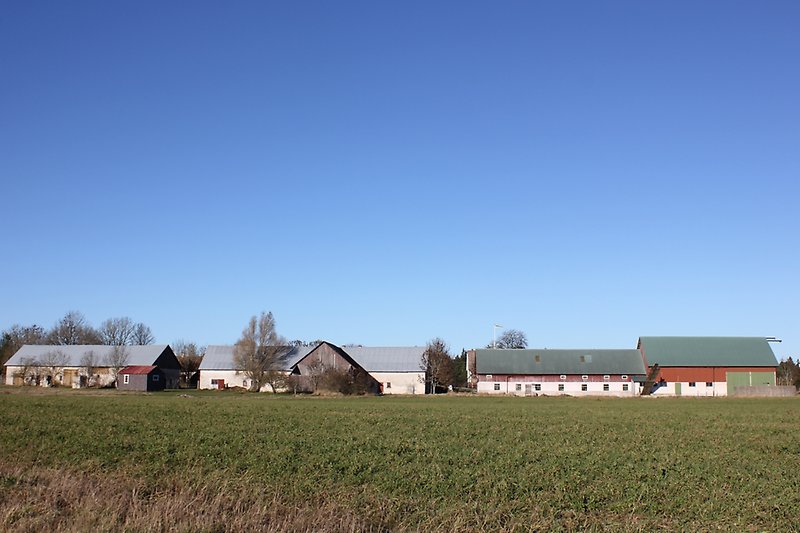 Efter fältet kan man se flera röd-vita byggnader.