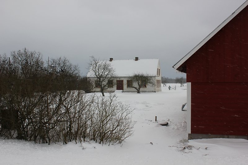 En röd stuga och ett vitt hus.