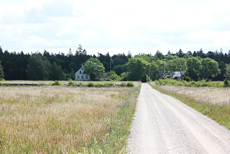 På slutet av grusvägen närmare ett skogsparti finns det flera vita och röda byggnader.