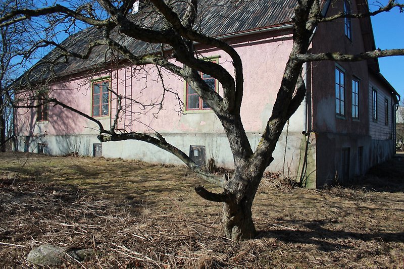 Rosa hus med röda fönster och ett plåttak