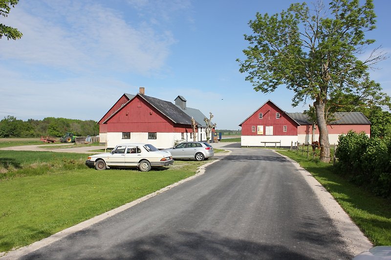 På vänster sida av vägen står det två parkerade bilar. På höger sida ser man en frigående häst, och längst bort syns det tre röd-vita byggnader.
