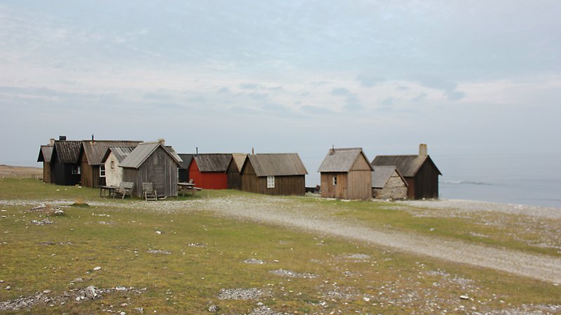 Helgumannsen fiskeläge på fårö